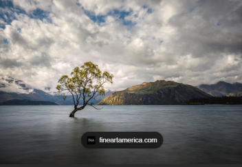 “Кездейсоқтық деген жоқ”: физик шындықтың жасырын құрылымы туралы айтты