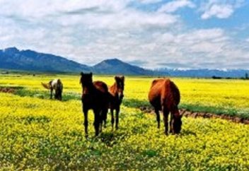 Ұлағаттың діңгегі