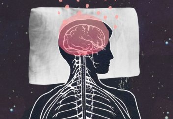 Денсаулық: Ұйқының не үшін қажет екенін білдіретін тағы бір себеп белгілі болды