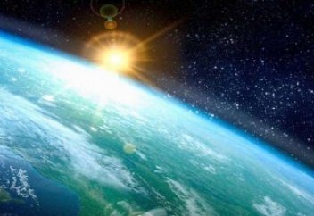 мой ласковый и нежный зверь