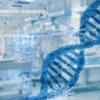 COVID-19: Обнаружен способ остановить размножение коронавируса. Инфекционист назвала единственный способ остановить пандемию COVID-19