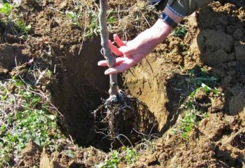 Өткен жылдың есте қаларлық ең елеулі заңы...