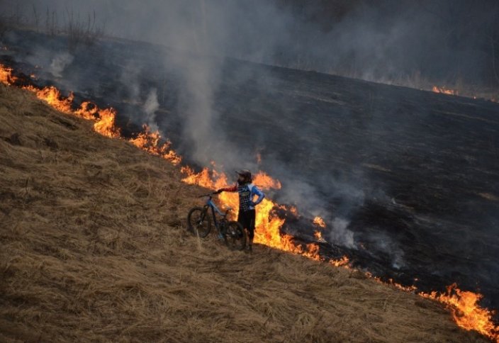 Өлім мен бақыттың иісі бары анықталды
