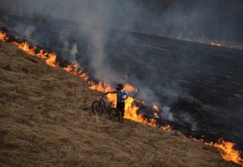 Өлім мен бақыттың иісі бары анықталды