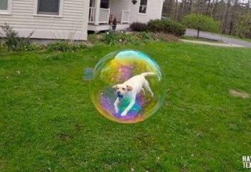 Сәтті шыққан кадрлар (Фото)