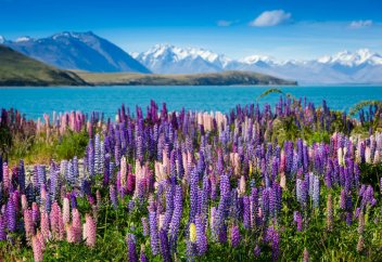 У миллиардеров появилась новая любимая страна