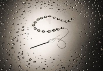 Шыбын да бекер ұшпас...