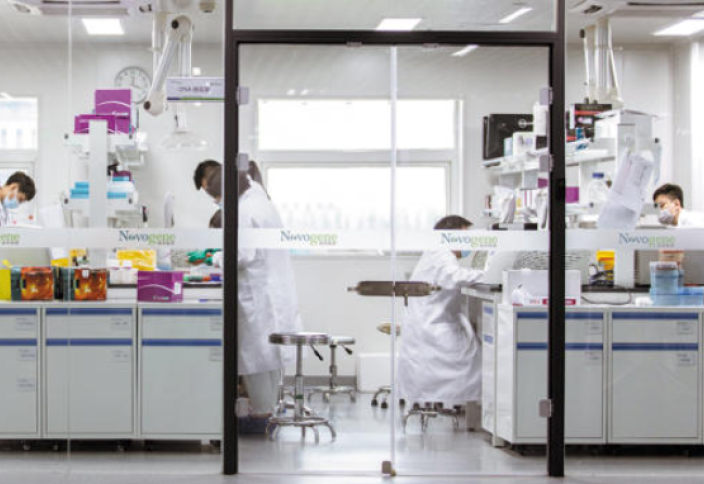 Эксклюзив: Экспорт генома из Южной Кореи не регулируется законом