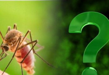 Биологтер масаның кімдерді шақпайтынын анықтады