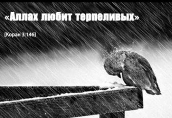 Сабр. Аллах с терпеливыми.