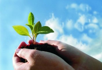 Бойыңдағы дарын менен қабілет