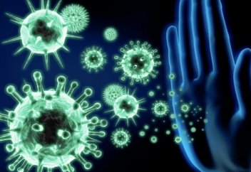 Объяснена причина слабого иммунитета у современных людей. Как иммунные клетки оттачивают своё мастерство