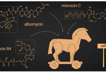 Зиянды бактерияны «іштен шалатын» қосынды табылды