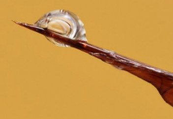 Араның уы ең қатерлі ісіктің бетін қайтаратын болып шықты