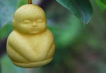 Қытайлықтар дінін жеміс арқылы насихаттауға кіріскендей (ФОТО)