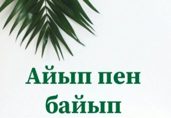 Айып пен байып