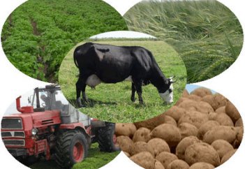 Ел іші: Қызмет көрсету саласында өзгеріс болады (видео)