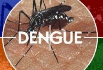 Разное: На Филиппинах более 188 тыс. человек заразились лихорадкой денге