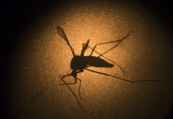 Haaretz (Израиль): он в одиночку уничтожил 52 миллиарда человек