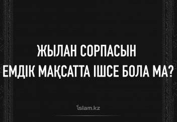 Жыланның сорпасын емдік мақсатта ішуге бола ма?