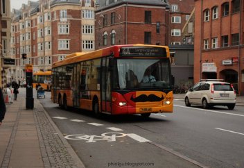 Копенгагенде өзгеше акция өтті