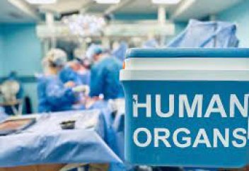 Ғалымдар трансплантацияланатын ағзаларды сақтаудың жаңа әдісін ойлап тапты