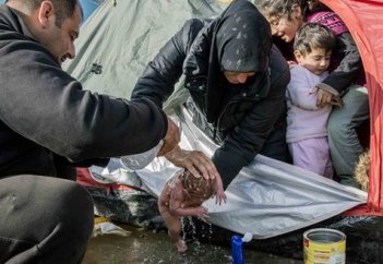 Шақалақ. Шарасыздық. Шалшық су