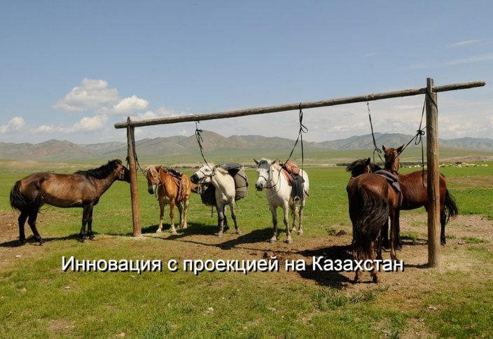 В Монголии появится казахстанский «Космический пастух» для лошадей