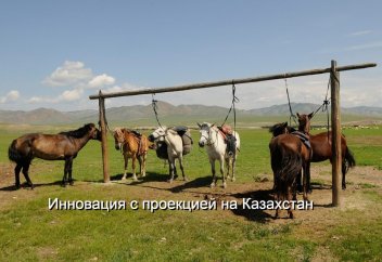 В Монголии появится казахстанский «Космический пастух» для лошадей