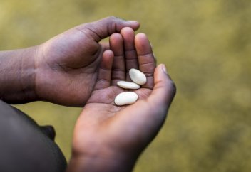 Африка теряет продовольственный суверенитет