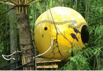 Әлемдегі ғажайып қонақ үйлер (фото)