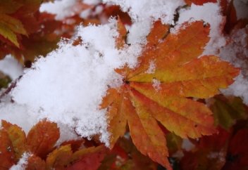 Абай атамыздың өміршең өлеңі