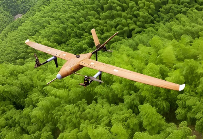 Қытайда қанаты бамбуктен жасалған дрон сынақтан сәтті өтті (видео)
