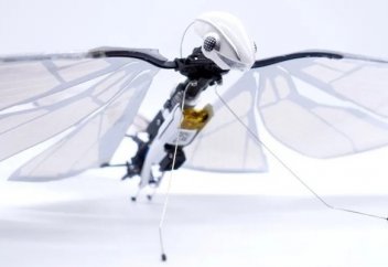 MetaFly: представили летающий робот-стрекозу (видео)