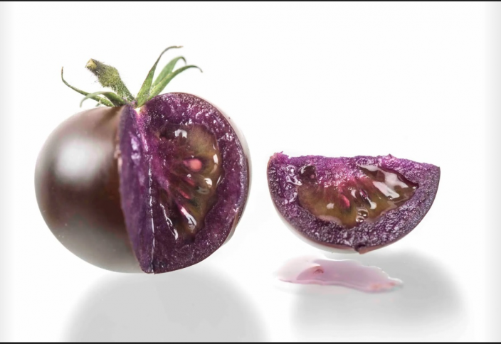 В США разрешили выращивать фиолетовые ГМ-помидоры