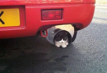 Разное: Британские инженеры предлагают полностью заменить домашнее газовое отопление водородным