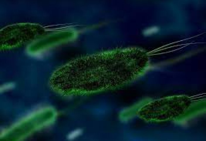 Разные: Новый антибиотик обманывает устойчивые к лекарствам бактерии с помощью мимикрии