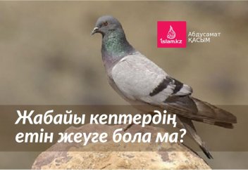 Жабайы кептердің етін жеуге бола ма?