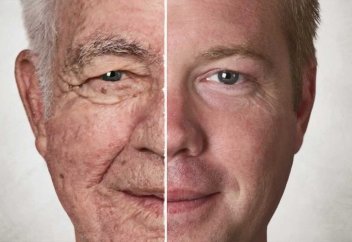 Кәрілікті тежейтін екі түрлі дәрі жасалды