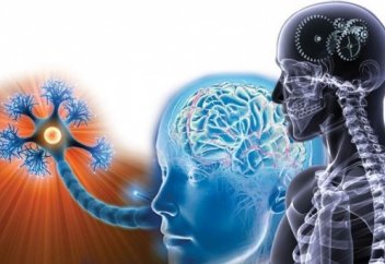 Білгеніңді сезінесің бе?