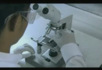 Жаратқанның құдіреті: Сөздің судың құрылымына тигізер әсері