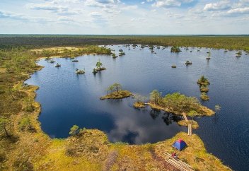 Сулы-батпақты бақтардың аумағы кеңейтіліп келеді