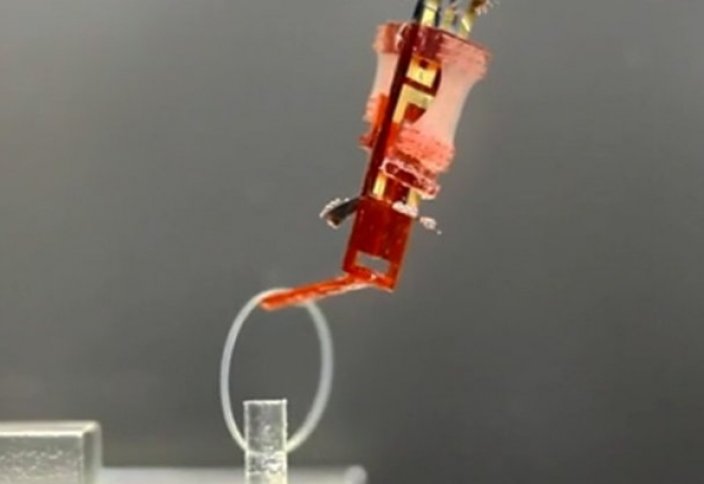 Тірі бұлшық етті робот саусақ жасалды (фото+видео)