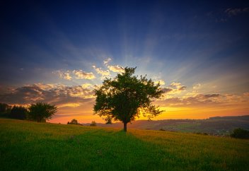 Таңғы уақыттың берекесі..