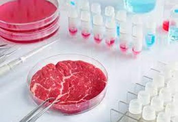 Органикалық ет кәдімгі етке қарағанда бактерияны аз жұқтырады