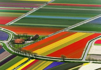 Түрлі-түсті етіп жаратқан Алла шебер!