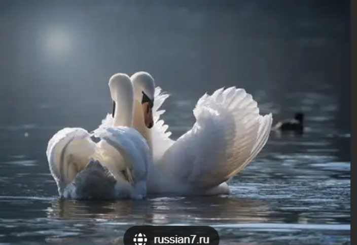 «Көзге шөп салғандардың» адал серігіне қарағанда ерте қайтыс болатыны анықталды