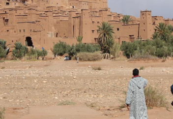 Марокканские гиды требуют реализации давно зашедшего в тупик закона о реформе