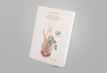 Почему мы покупаем лишние вещи? Основные причины избыточного потребления