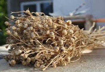 Адыраспанмен аластауға бола ма?